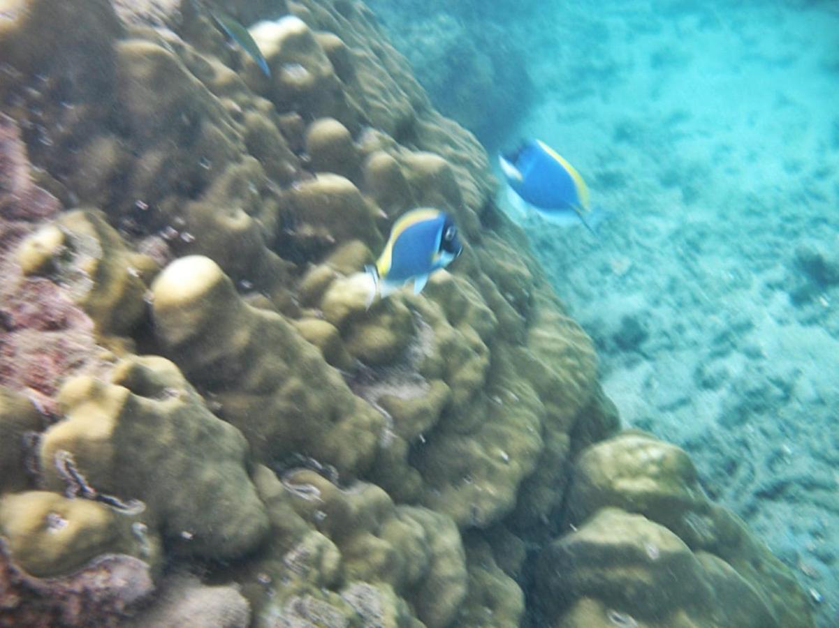Giman Free Beach Resort Passikudah Esterno foto