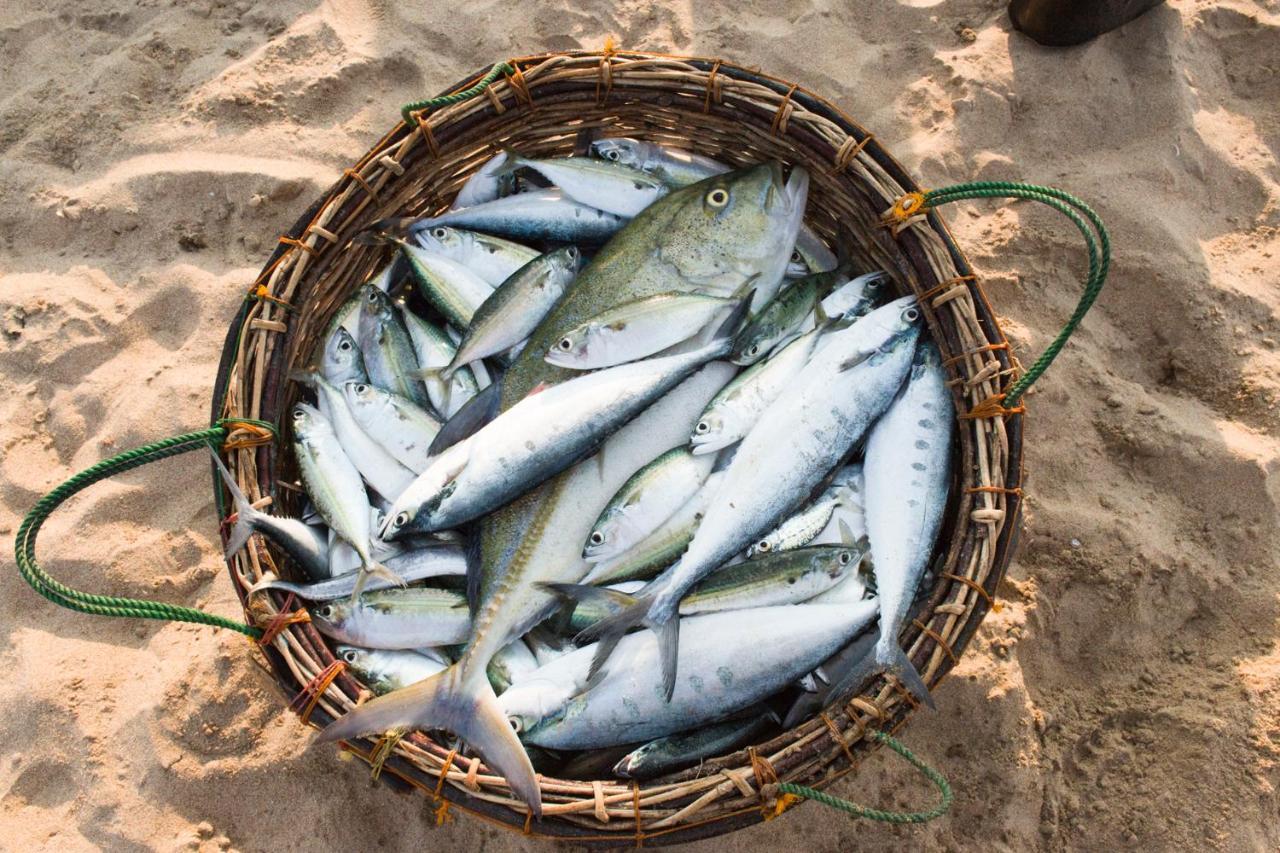 Giman Free Beach Resort Passikudah Esterno foto